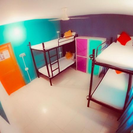 The Hostel Crawl Удайпур Экстерьер фото